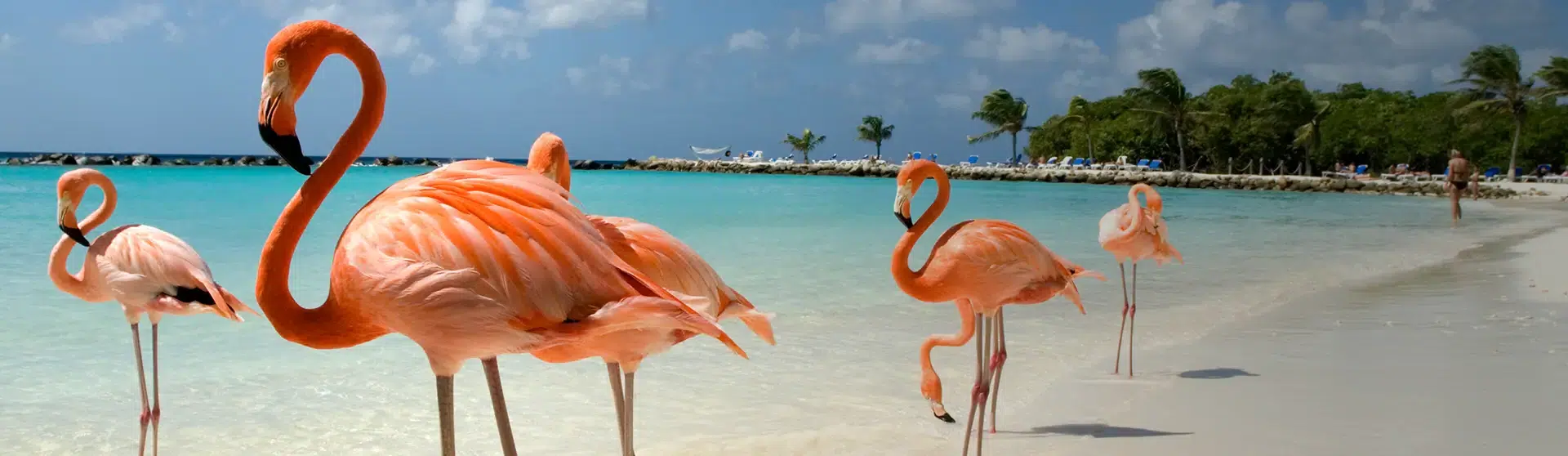 האי הולבוש – Isla Holbox