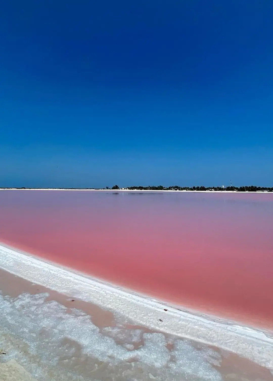 Las Coloradas Pink Lakes