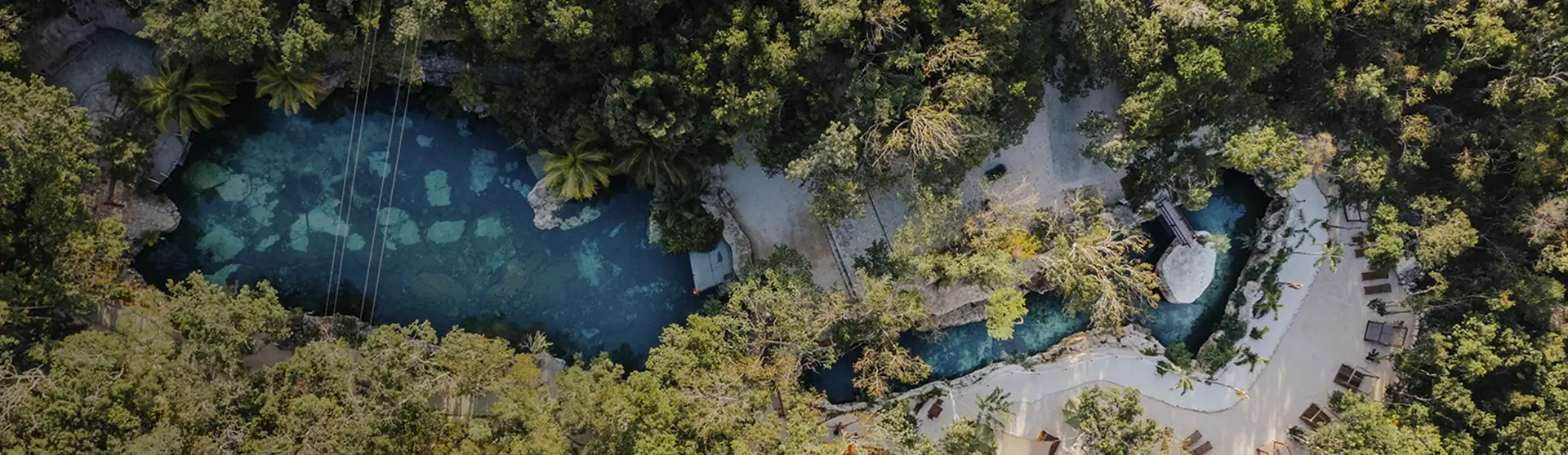 Cenote Tour – Casa Tortuga