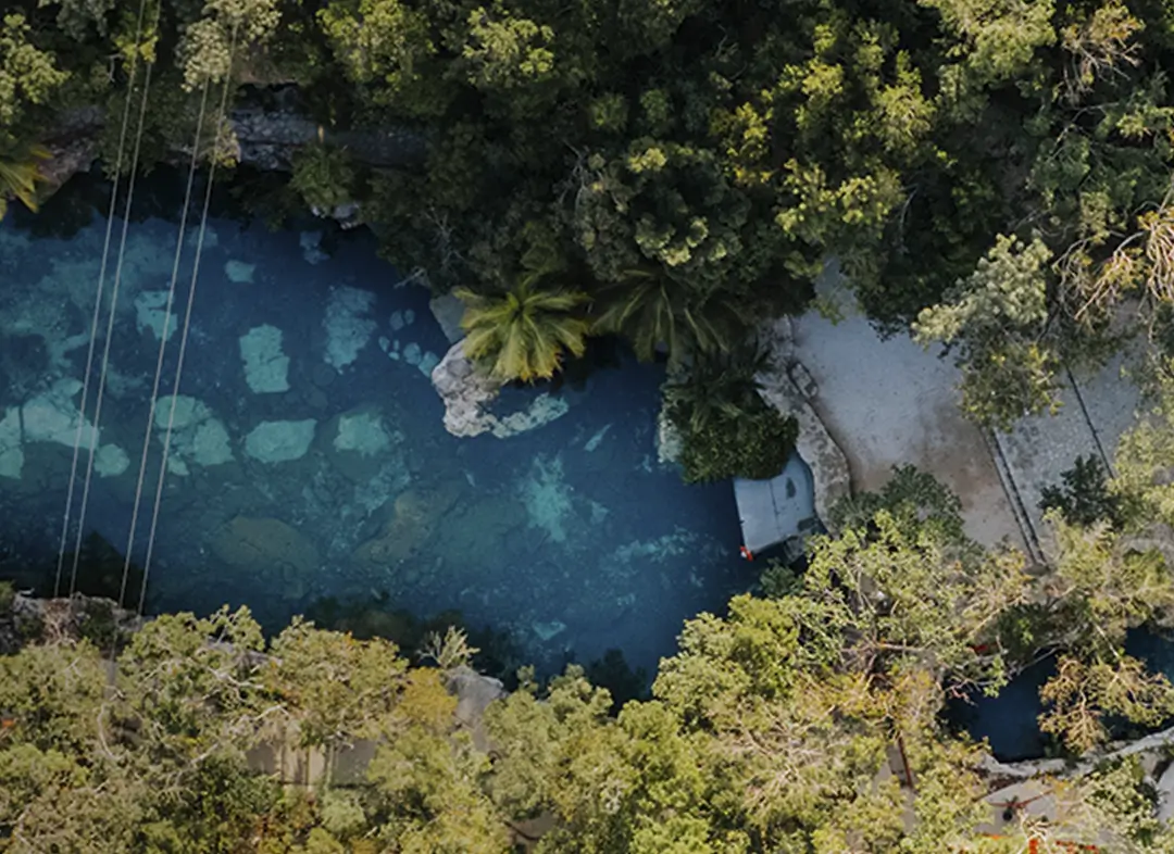 Cenote Tour – Casa Tortuga