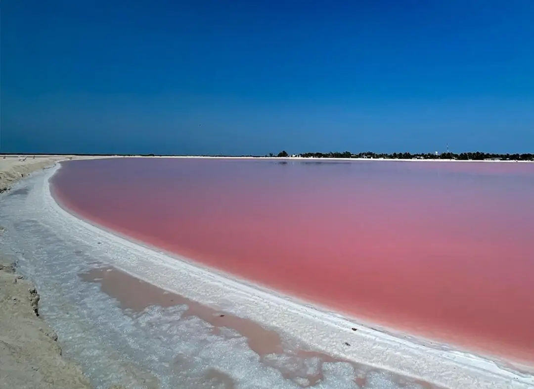 Las Coloradas Pink Lake