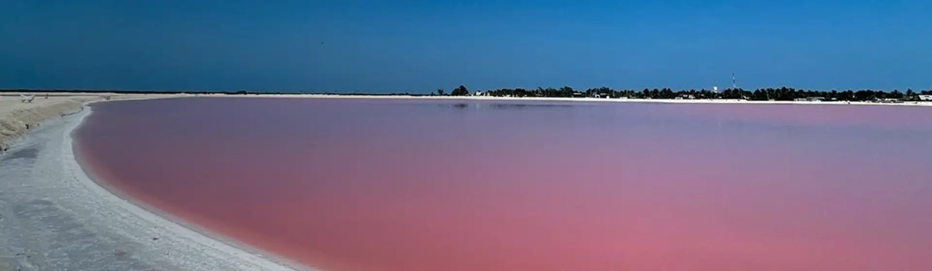 Las Coloradas Pink Lake