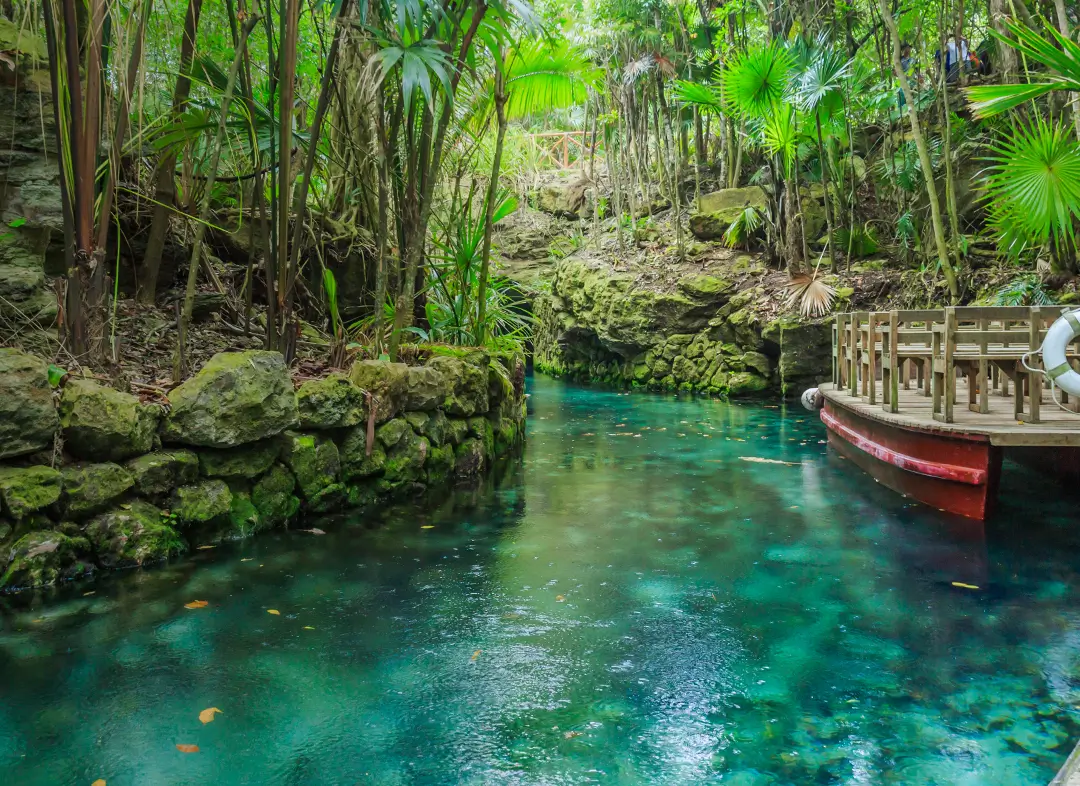 Exploring Nature's Hidden Gems: A Guide to Cenotes in Tulum