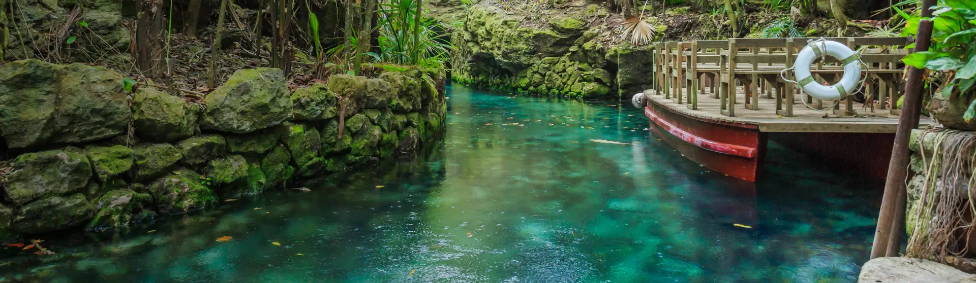 Exploring Nature's Hidden Gems: A Guide to Cenotes in Tulum