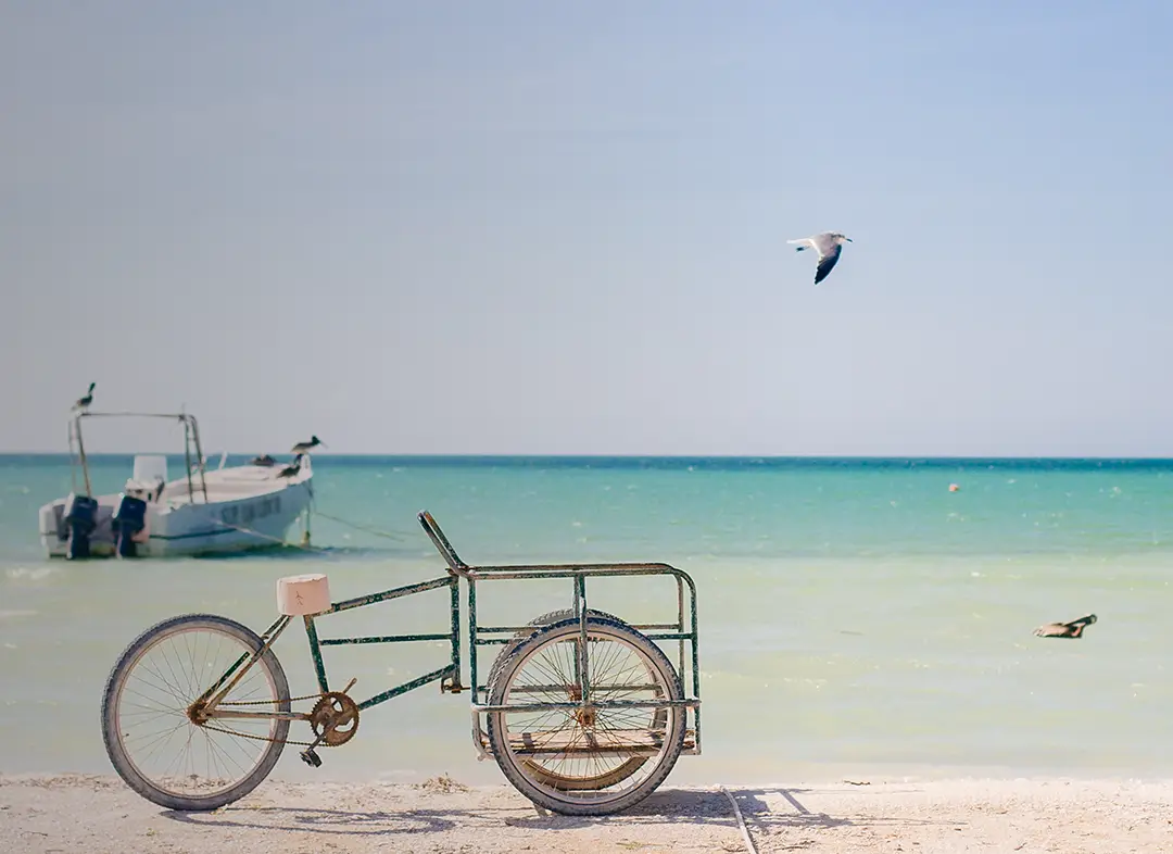 Your Ultimate Guide to Reaching Holbox: Ferries, Transportation, and Tips