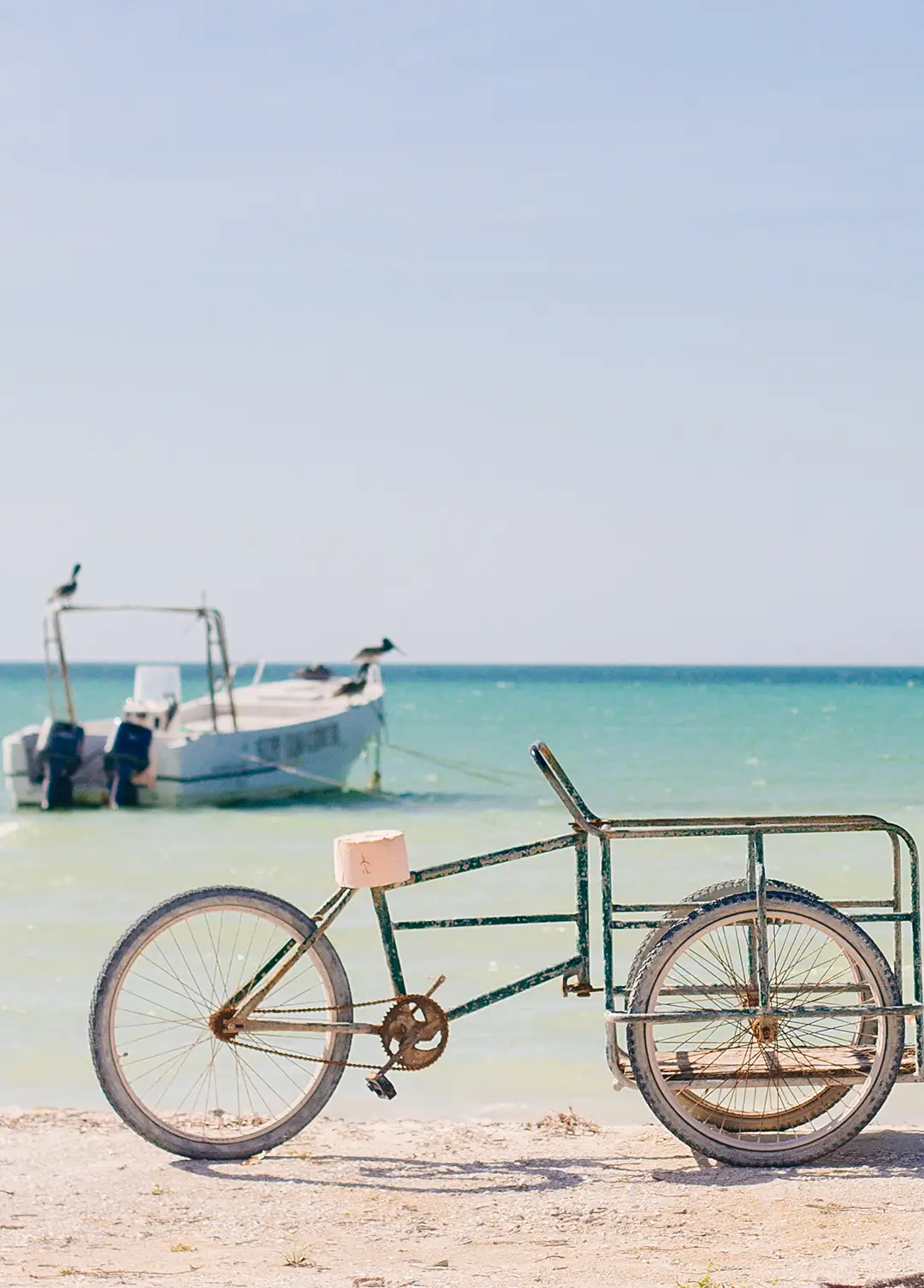 How to Get to </br> Holbox