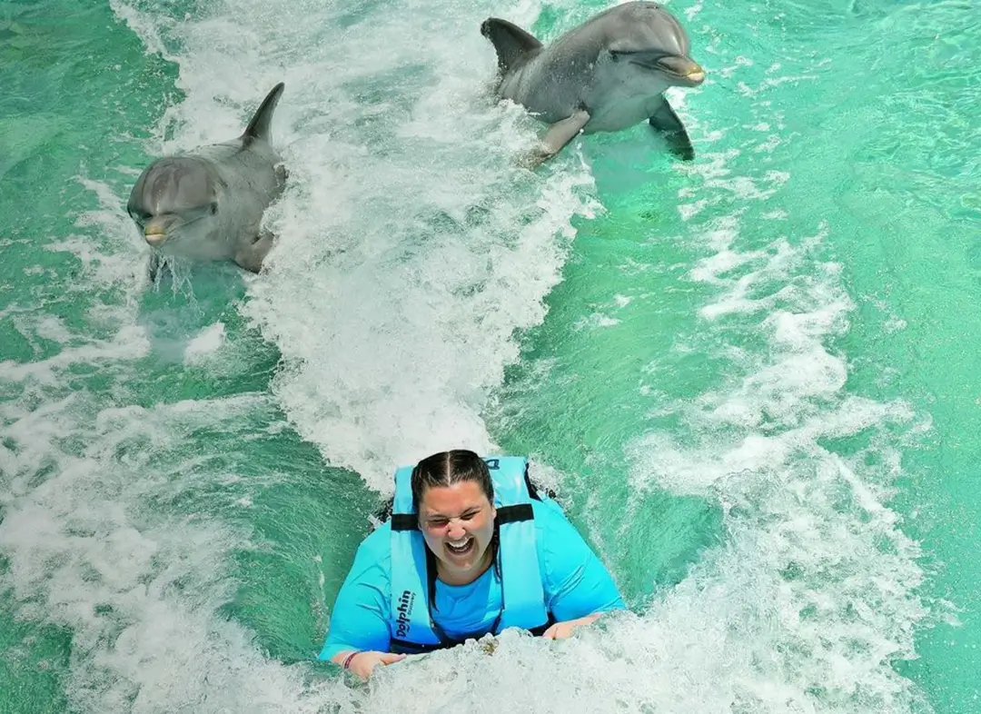 Swimming with Dolphins in Cozumel